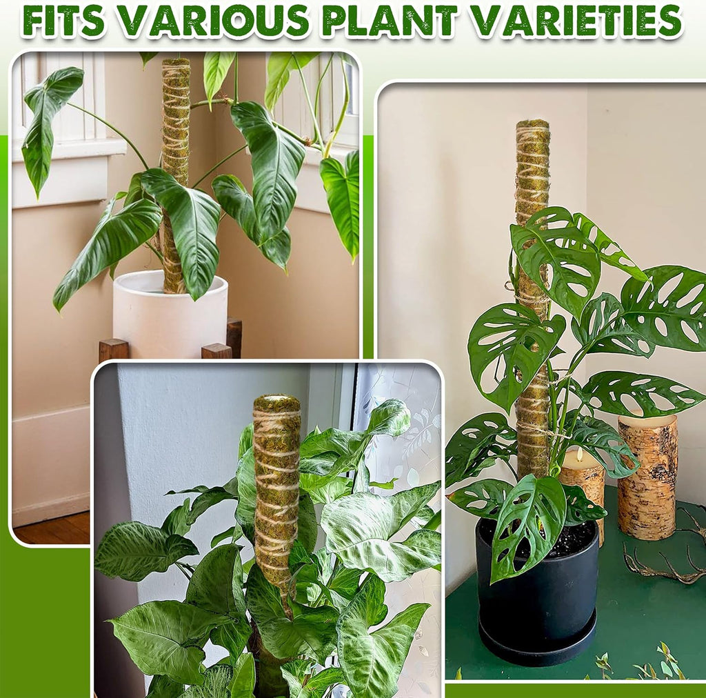 DUSPRO Natural Stackable Moss Pole for Plants Monstera Potted Plant Stakes for Indoor Plants Extendable Plant Pole Moss Sticks for Plants Climbing Vine Supporting Monstera Trellis 4Pcs 22''