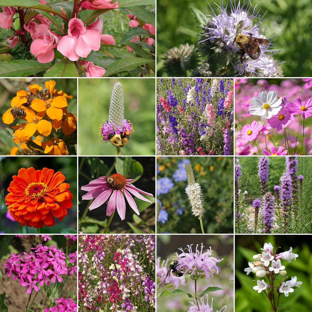 Ferry-Morse Bumblebee Buffet Mix Bulk Flower Seeds, 1lb