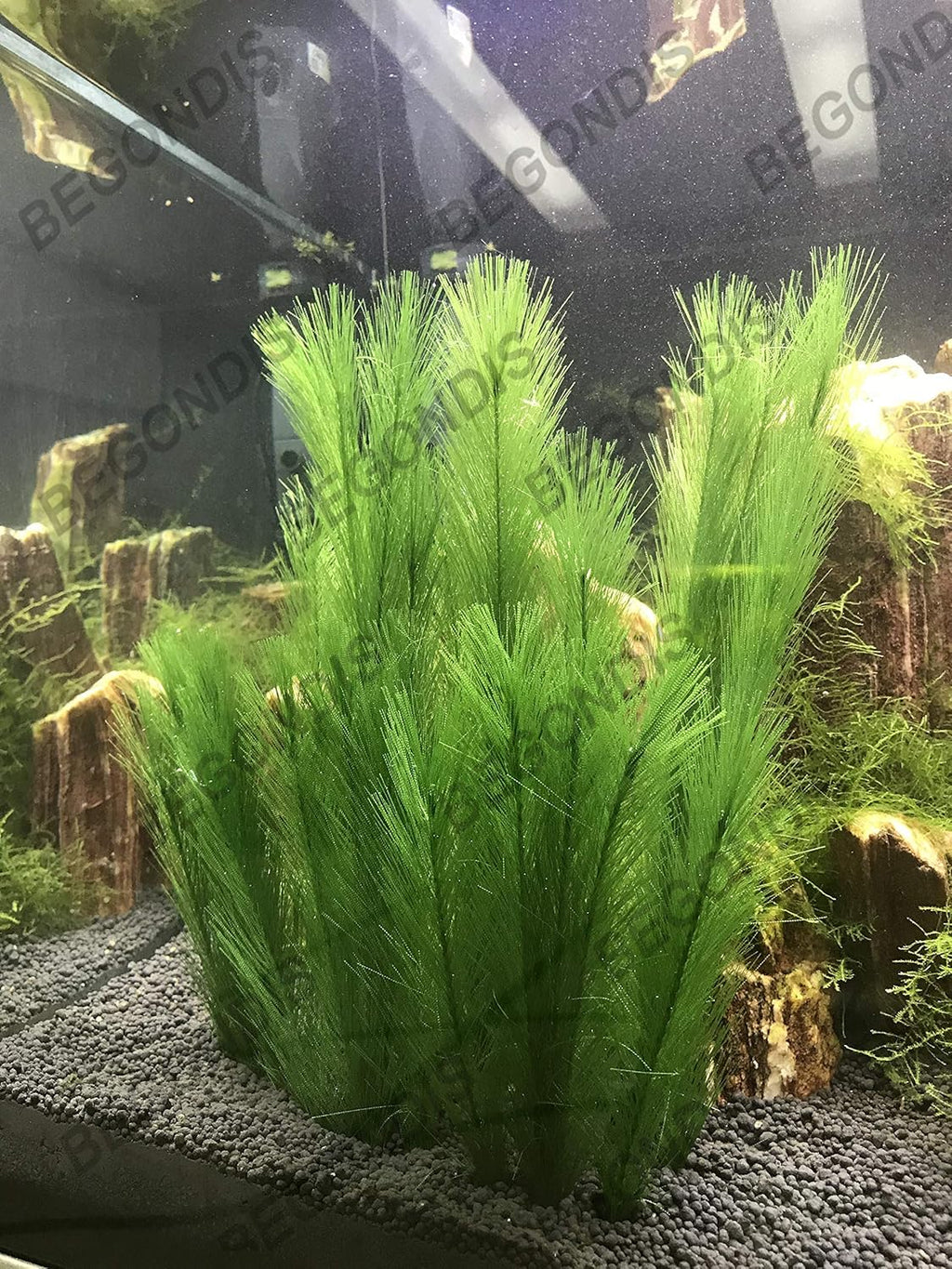 BEGONDIS Aquarium Decorations 3Pcs Fish Tank Artificial Green Water Plants Made of Silk Fabrics Plastic