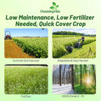 Outsidepride Buckwheat Seeds - 1oz Annual, Fast-Growing, Easy to Grow Buckwheat Cover Crop Seeds for Green Manure, Bee Pasture & Pollinators, Wildlife Habitat, Soil Improvement, and Erosion Control