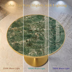 31.5" Tulip Table, Small Modern Round Dining Table for 2-4, Sintered Stone Circle Dining Tables with Golden Metal Pedestal Base, Tulip Tables for Kitchen/Cafe/Small Spaces/Restaurant (Verde Alpi)