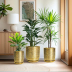 Indoor Plant Pot 8 Inch - Ceramic Planter for Indoor Outdoor Flowers, Round Modern Flower Pot with Drainage Hole and Saucer, Gifts for Plants Lovers, Garden Room Decor, Gold