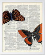 Poster Master Dictionary Art Poster - Butterflies Print - Moth Art - Butterfly Art - Insect Art - Gift for Men, Women & Animal Lover - Chic Decor for Living Room or Bedroom, 11x14 White Framed