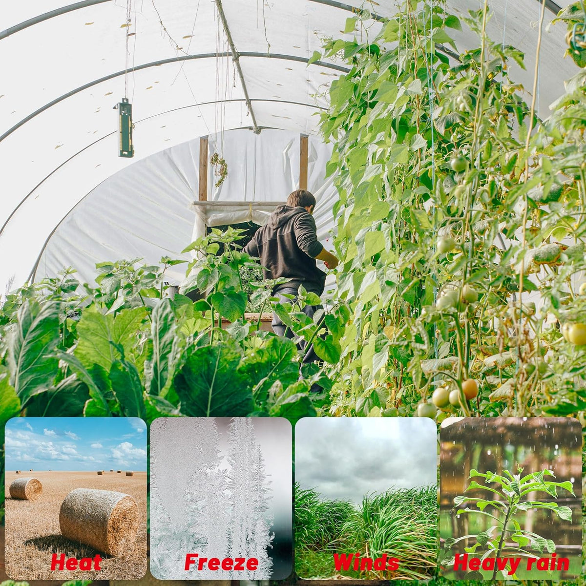 6 Mil Clear Greenhouse Plastic Sheeting,Transparent Plastic Film for Greenhouse, Resistant Polyethylene Film for Farm,Garden (6.5ftx19.7ft)