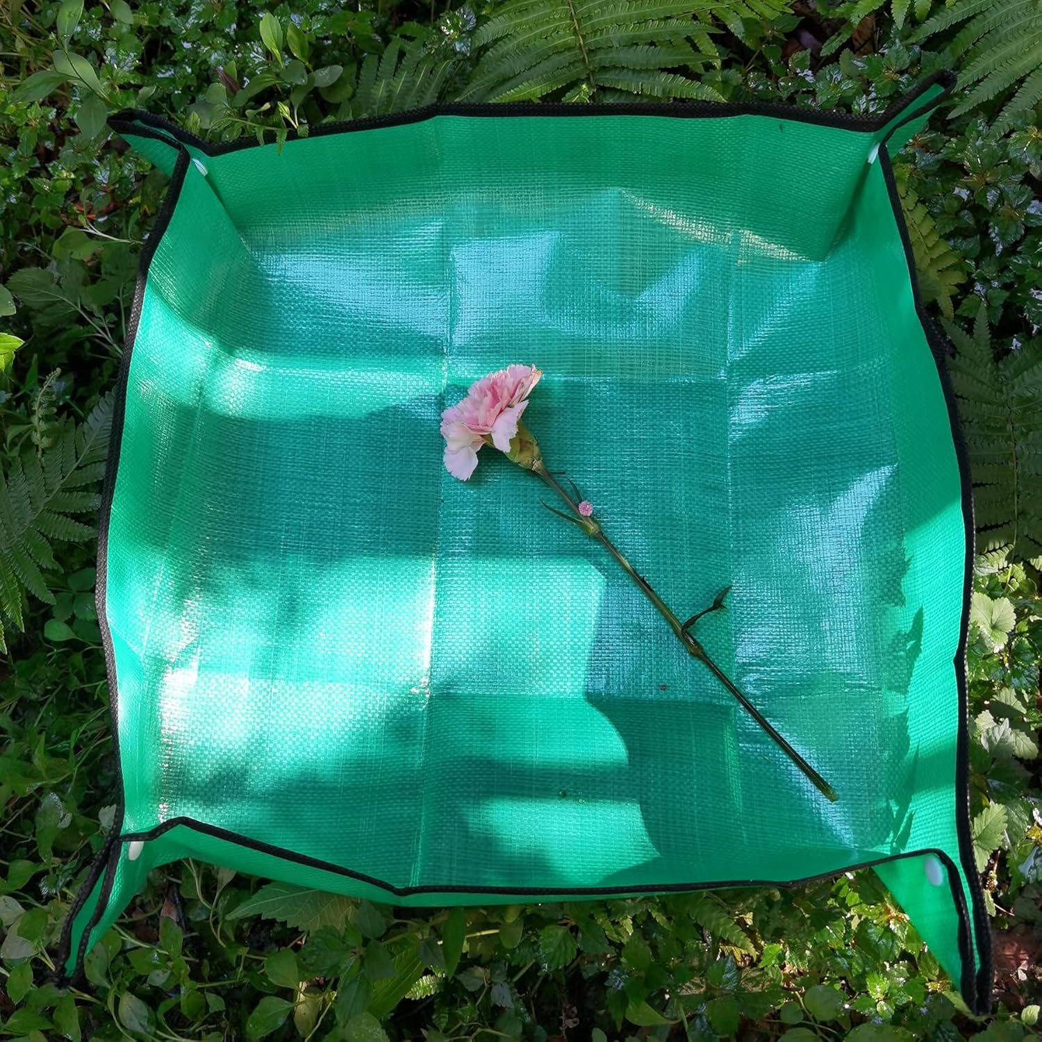 RESTCLOUD Indoor Plant Repotting Mat Potting Tray, Poo Poo Platter for Butterfly Cage, 19.6 x 19.6 Inches, Green, Set of 2