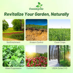Outsidepride Gardenway Cover Crop Seeds - 10 lbs Nutrient-Rich Seed Mix for Soil Health Improvement & Home Gardens - Mixture of Triticale, Peas, Oats, Vetch, Annual Ryegrass, Crimson Clover