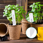 Plant Labels 4 Inch 400Pcs Plastic Plant Name Tags for Seedlings Garden Labels Markers Nursery Plant Tags Seed Labels Stakes with Permanet Marking Pen Plant Markers for Outdoor Garden (White400)