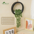 Der Rose 2 Pack Fake Plants Hanging Artificial Succulents Plants in Black Pots for Living Room Bathroom Accessories Boho Farmhouse Wall Decor