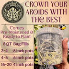 Craft Aroid Potting Mix- Elite Organic Alocasia, Philodendron, Monstera Soil Mix, Chunky, Well Draining Potting Soil for Indoor Plants, All Tropical Plants & Houseplants, Sustainable & Peat Free 8QT