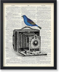 Poster Master Dictionary Art Poster - Antique Camera Print - Bird Art - Photography Art - Gift for Men, Women & Photographer - Chic Decor for Living Room, Bedroom or Office - 11x14 UNFRAMED Wall Art