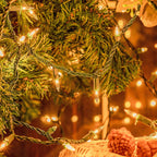 50-Count White Christmas Lights with Green Wire,Mini String Lights for Holiday Decorations, Christmas Tree Lights, Holiday Party, Wedding, Xmas, Home, Indoor & Outdoor Use (13ft Long)