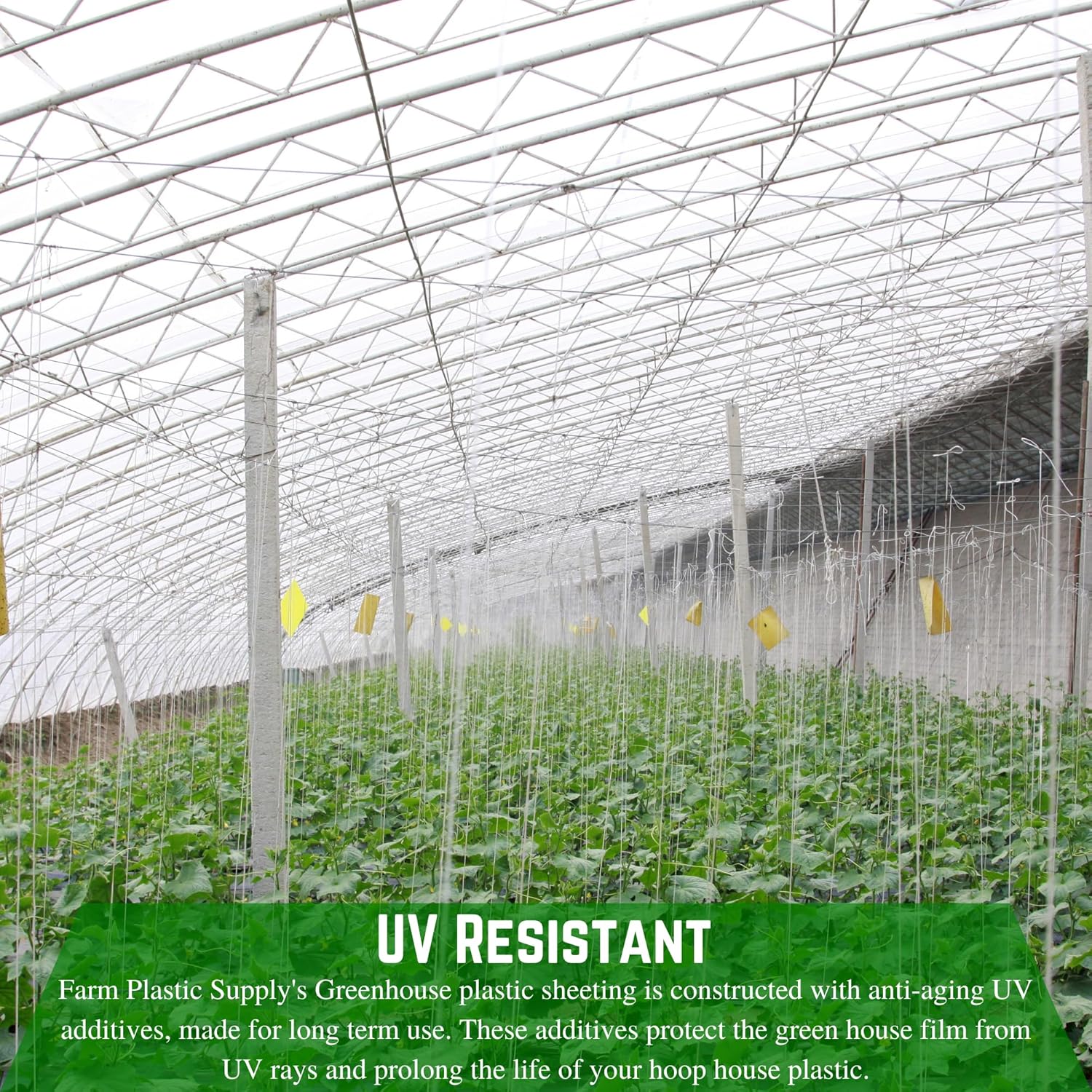 Farm Plastic Supply - String Reinforced 4 Year UV Resistant 10 mil Clear Greenhouse Plastic Sheeting - 4 Year UV Resistant Polyethylene Greenhouse Film, Hoop House Green House Cover (60' x 50')