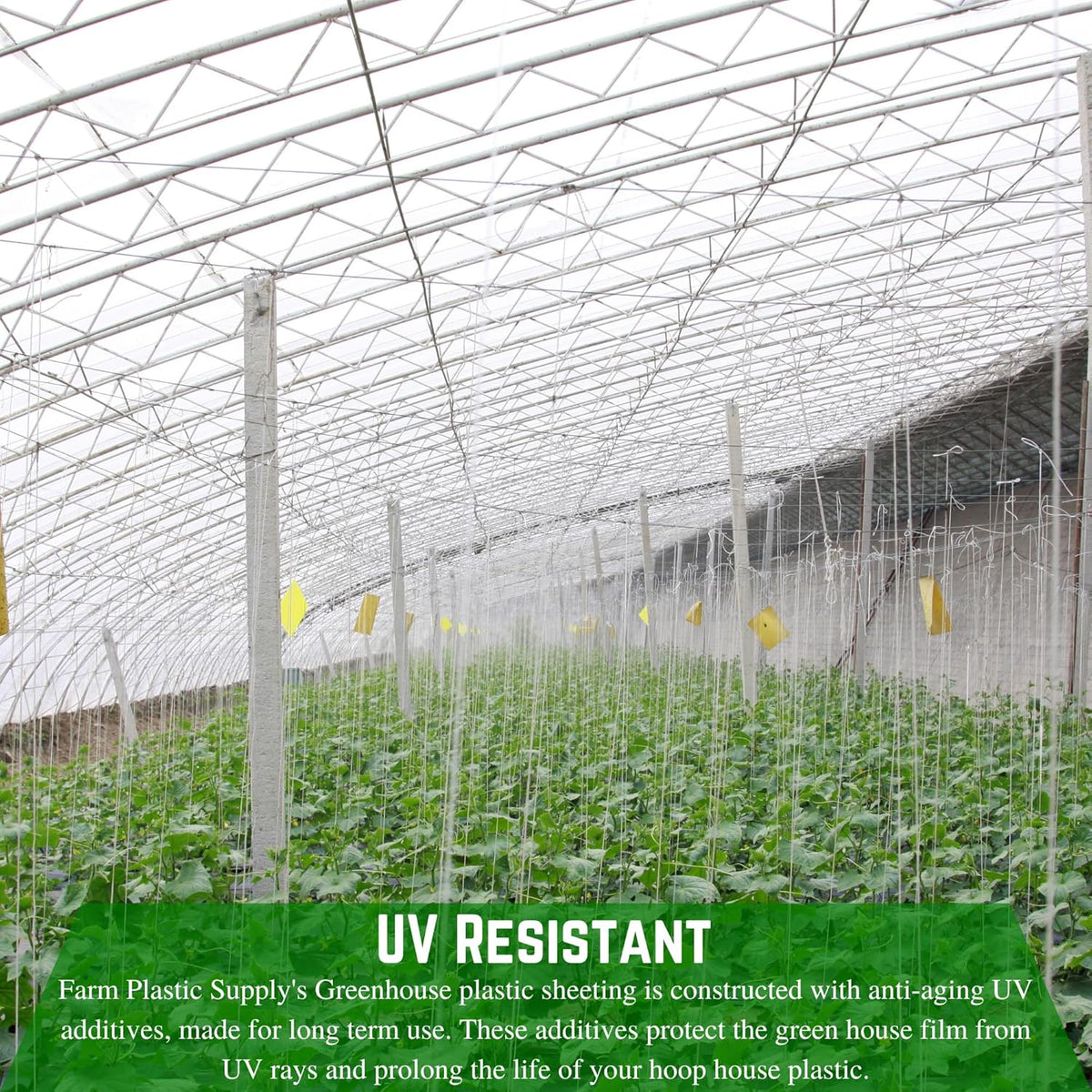 Farm Plastic Supply - String Reinforced 4 Year UV Resistant 10 mil Clear Greenhouse Plastic Sheeting - 4 Year UV Resistant Polyethylene Greenhouse Film, Hoop House Green House Cover (24' x 40')