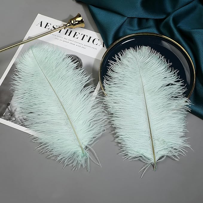 Ballinger Aqua Green Ostrich Feathers - 24pcs 12-14inch Craft Feathers Bulk for Wedding Party Centerpieces Mardi Gras Decorations and Home Decor