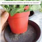 Plant Saucer 6 Pack Drip Trays Planter Pot Base Heavy Duty Plastic Drainage Tray for Indoor Houseplants Outdoor Garden 5 inch 8 inch 11 inch 3 Sizes 2 Each Round (Brownish Black)