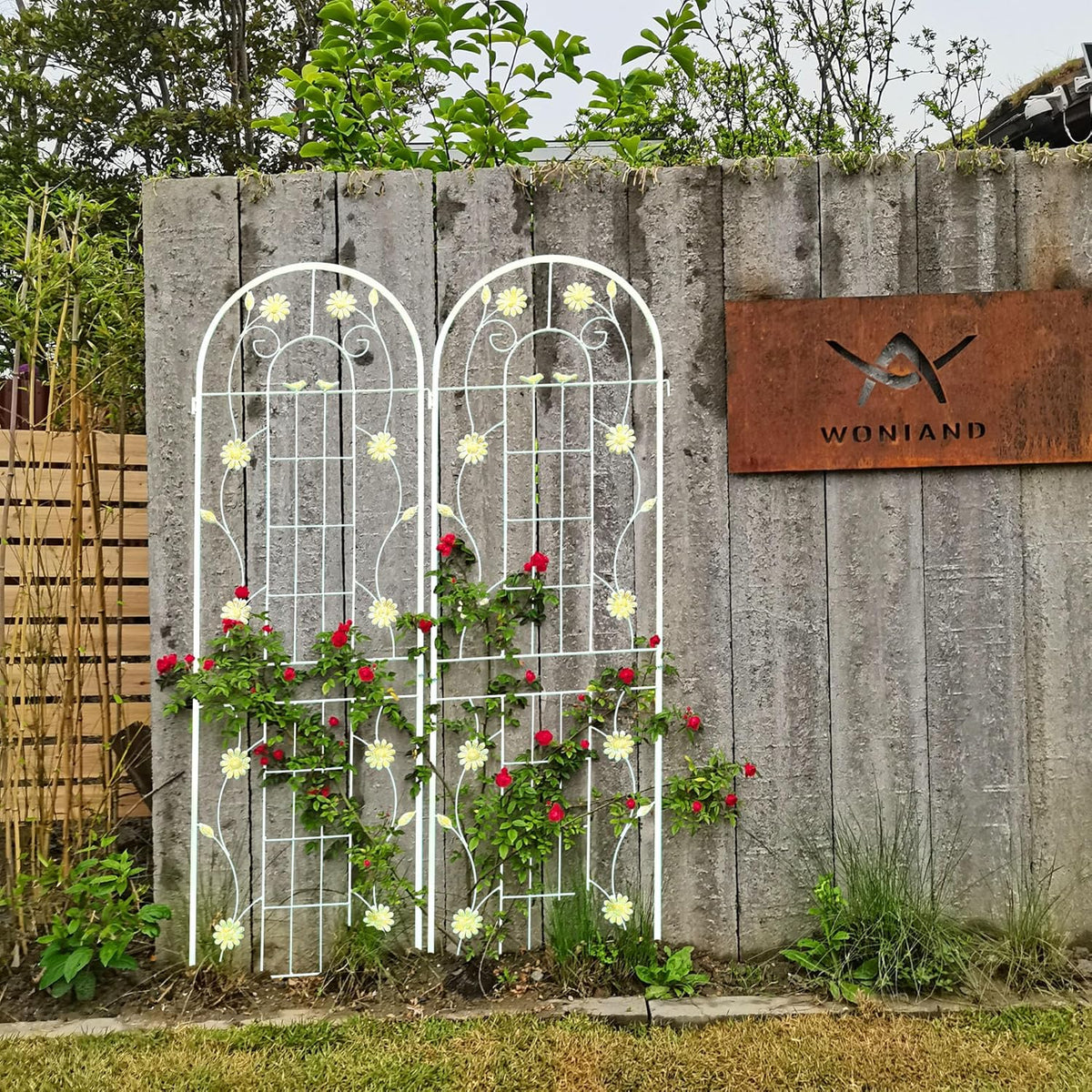 2 Pack Metal Garden Trellis for Climbing Plants 71" H Cream White Garden Fence Rustproof Trellis Support Roses Flower Outdoor Lawn, Cream White