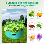 2 Pack 10 Gallon 3 Compartment Potato Grow Bag,Vegetable Growing BagThickened PE Garden Pots with Drainage Holes Branch-Binding Holes, Reusable Plant Bag for Vegetables、Flowers