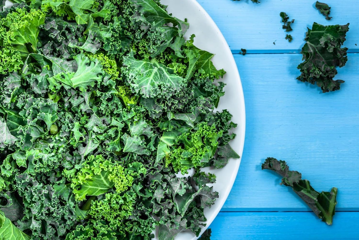 Curled Blue Kale Seeds for Planting – Plant & Grow Heirloom Non-GMO Curled Blue Vates Kale Home Outdoor Vegetable Garden, Brassica oleracea VAR. acephalla – 5 Packets