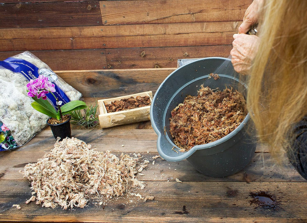 SuperMoss (22325) Orchid Sphagnum Moss Dried, Natural, 1 Pound Mini Bale