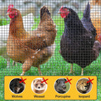 Sunnyglade Hardware Cloth, 1/2 Inch 48" x 100 ft Black Vinyl Metal Mesh Roll, 19 Gauges Chicken Wire Fence Roll, Welded Wire Fencing PVC Coated Wire Fence Rolls for Chicken Coop, Poultry (Black)