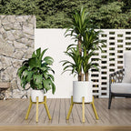 Adjustable Plant Stands Set of 2, Metal Modern Small Plant Holder, Heavy Duty Stable Flower Holder Stand Rack for 10-16 Inch Indoor Outdoor Corner Living Room Balcony Office Golden PS-007GY-2